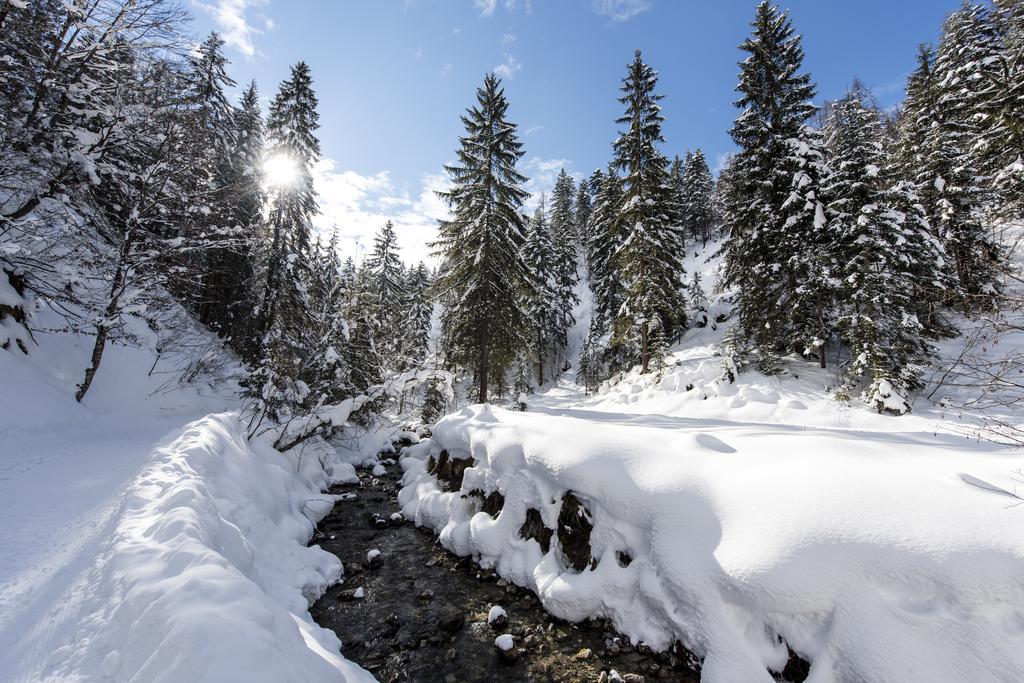 Alpenappartement Europa Sankt Johann in Tirol Kültér fotó