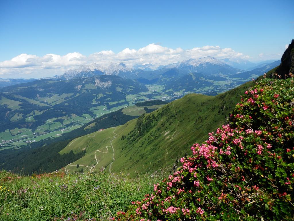Alpenappartement Europa Sankt Johann in Tirol Kültér fotó
